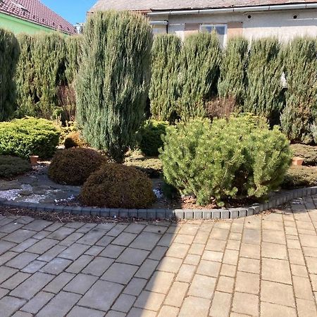 Apartmany Sabinovska プレショフ エクステリア 写真