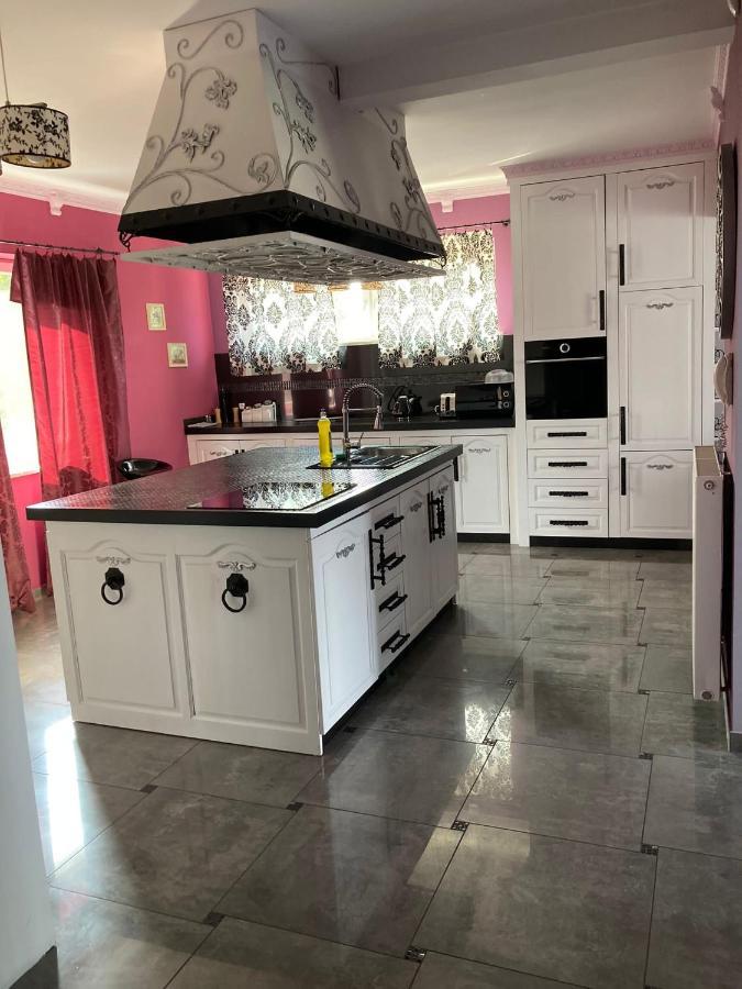 Apartmany Sabinovska プレショフ エクステリア 写真